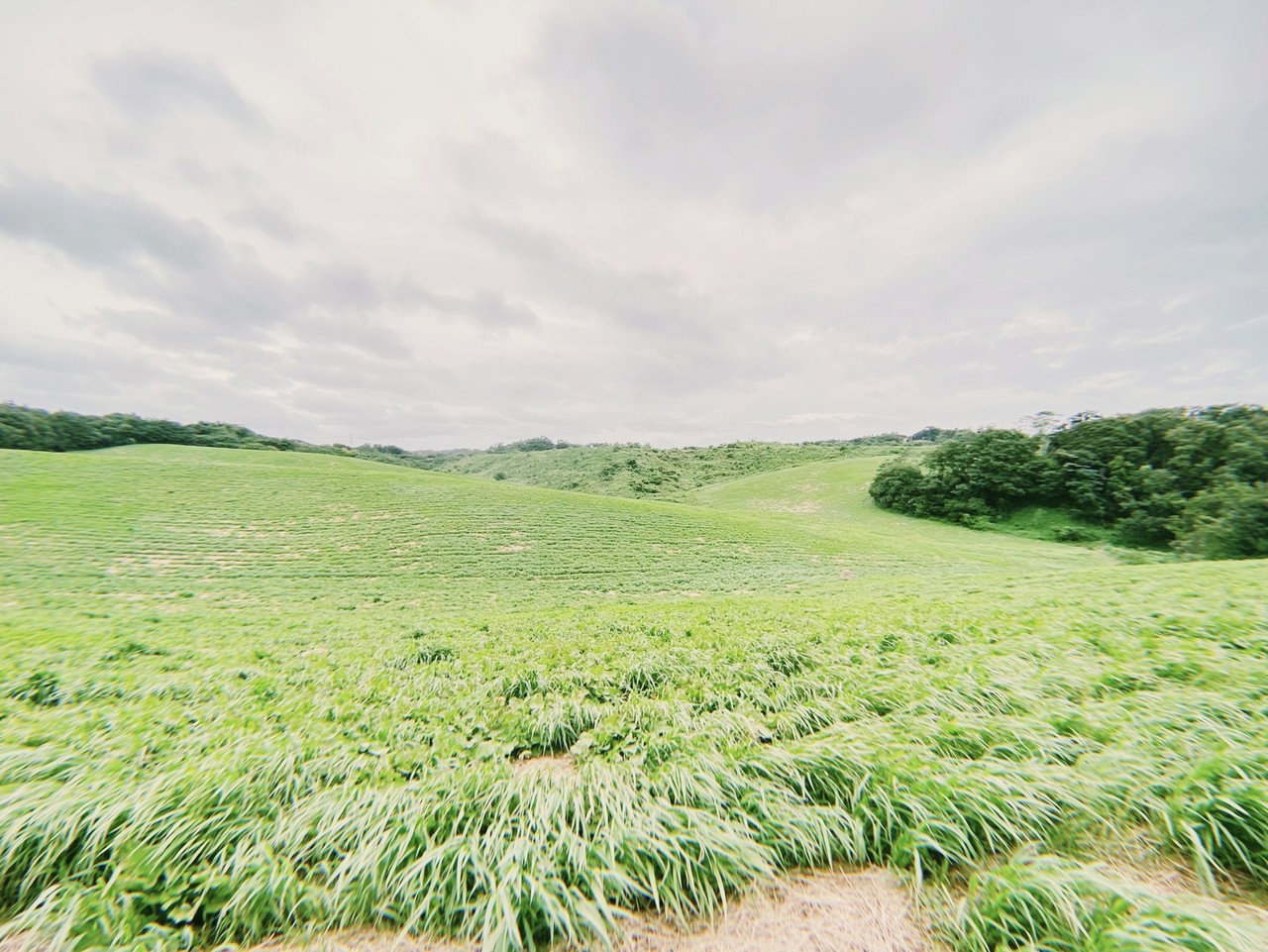 田村 保乃｜傾斜（2021-09-24）