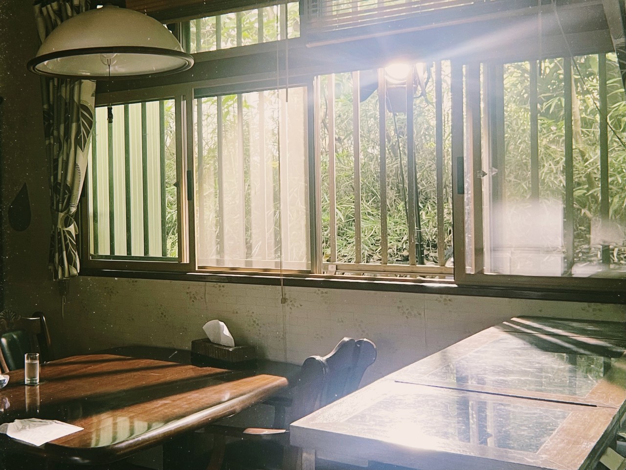 田村 保乃｜木漏れ日（2021-09-30）