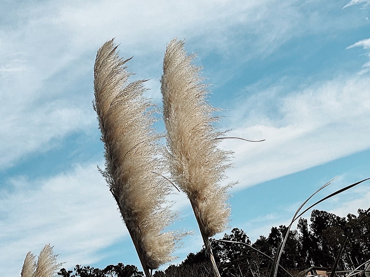 山﨑 天｜好きな季節（2021-10-27）