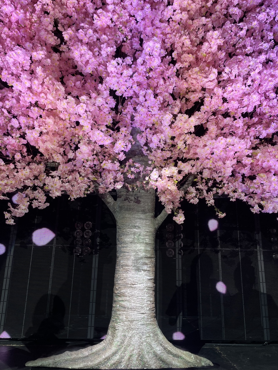 守屋 麗奈｜1st TOUR（2021-11-02）