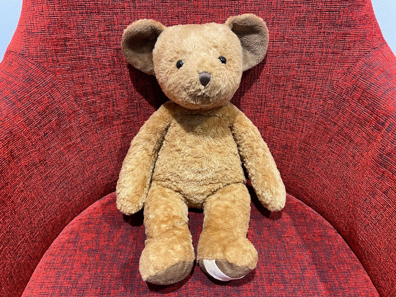 守屋 麗奈｜ぱんなちゃん（2021-11-09）