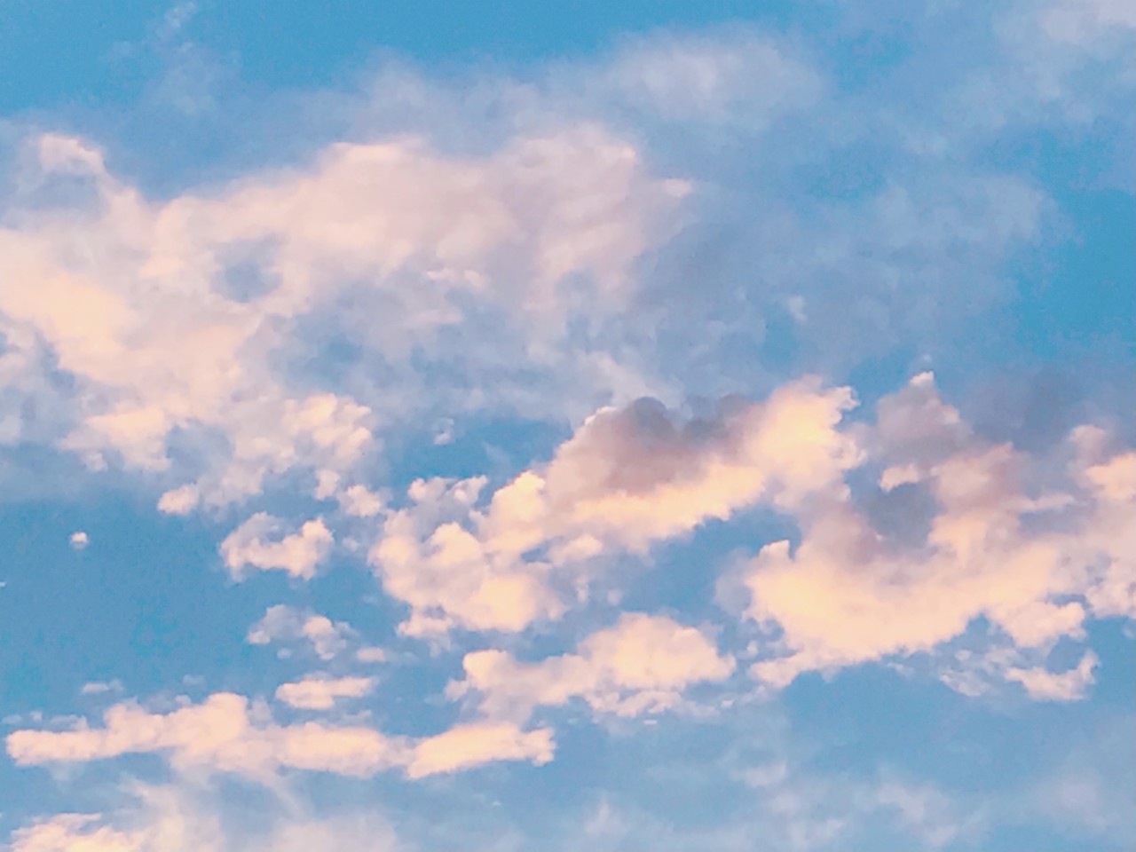 森田 ひかる｜みかん（2021-11-17）