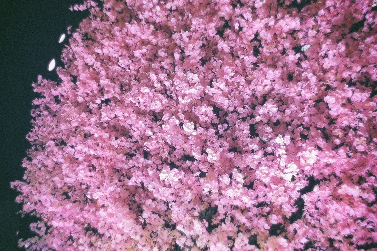 松田 里奈｜感謝です！🌸（2021-11-20）