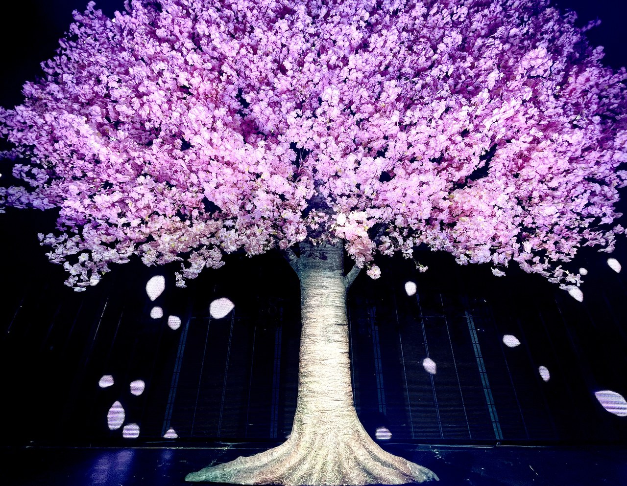 山﨑 天｜1周年（2021-12-09）