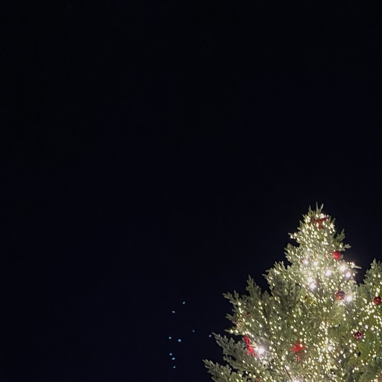 森田 ひかる｜メリークリスマス（2021-12-24）