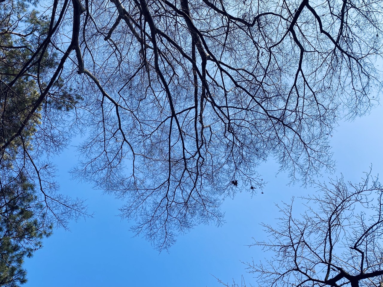 森田 ひかる｜1センチ（2022-01-31）