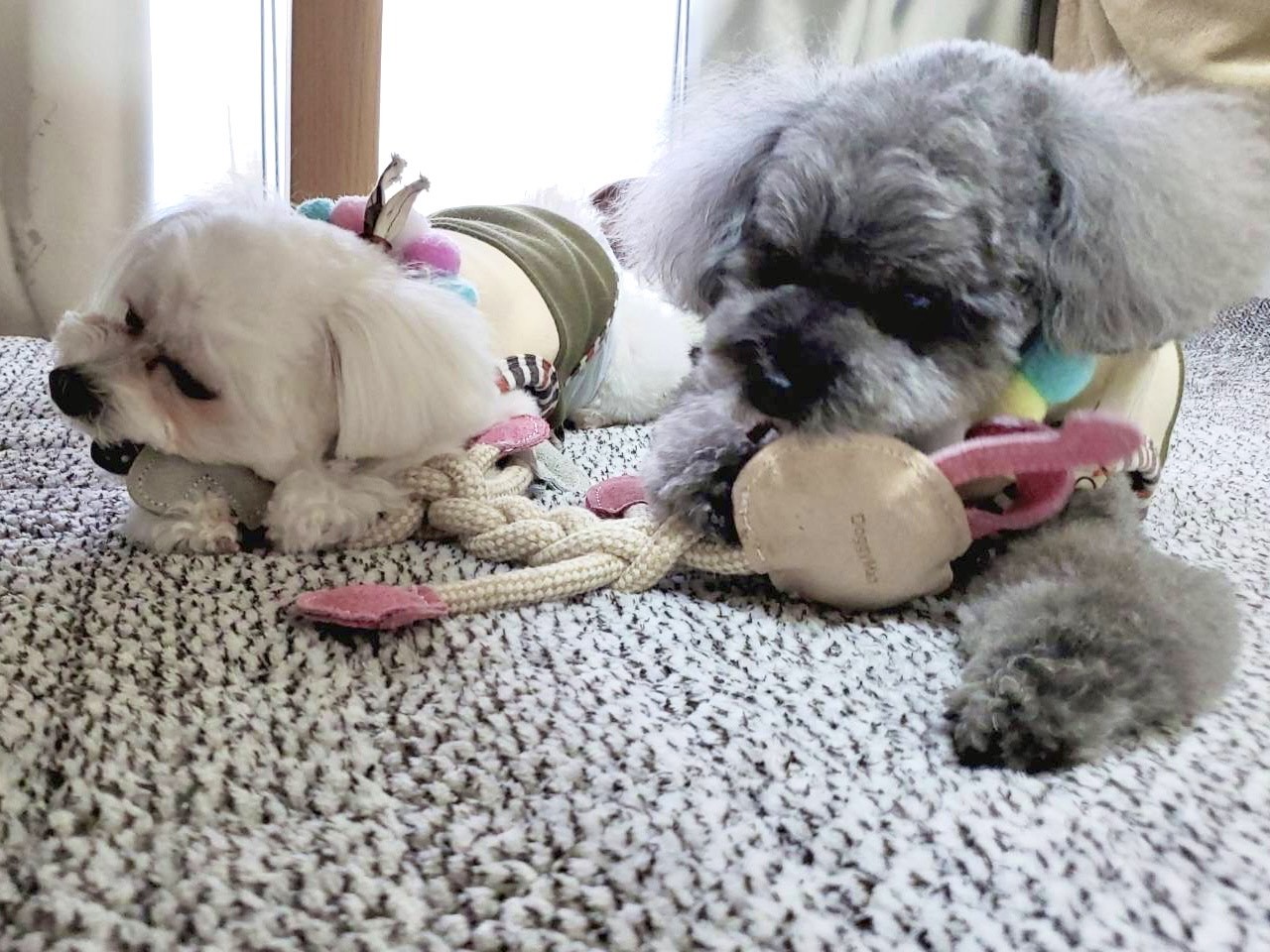 田村 保乃｜白黒（2022-02-24）