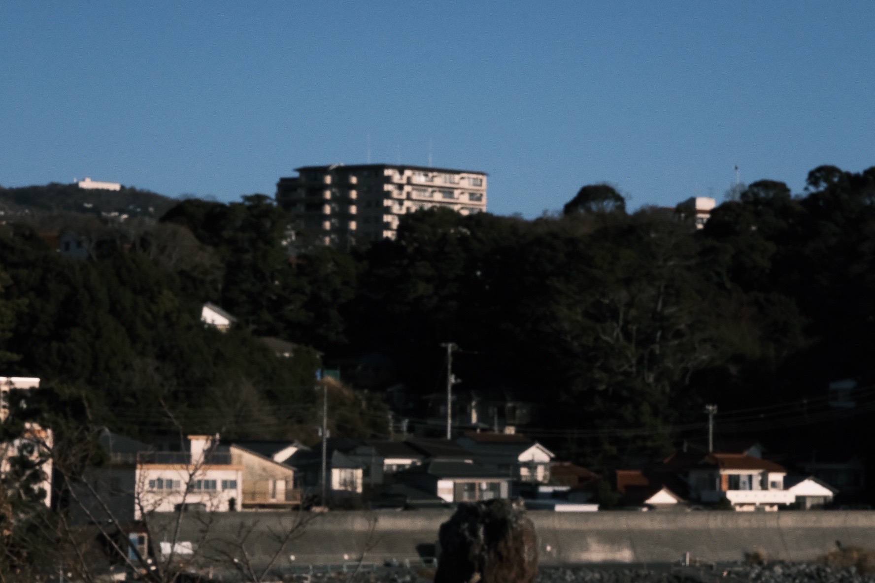 藤吉 夏鈴｜（2022-03-10）