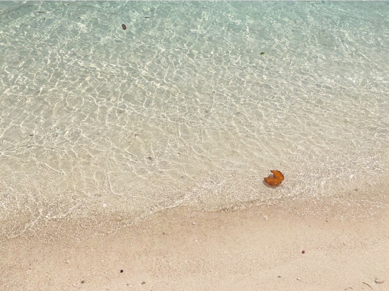 田村 保乃｜日陰（2022-03-12）