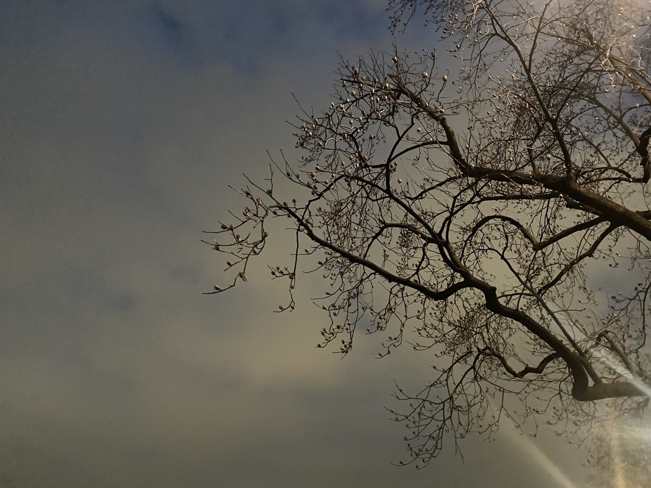 田村 保乃｜紺色（2022-03-17）