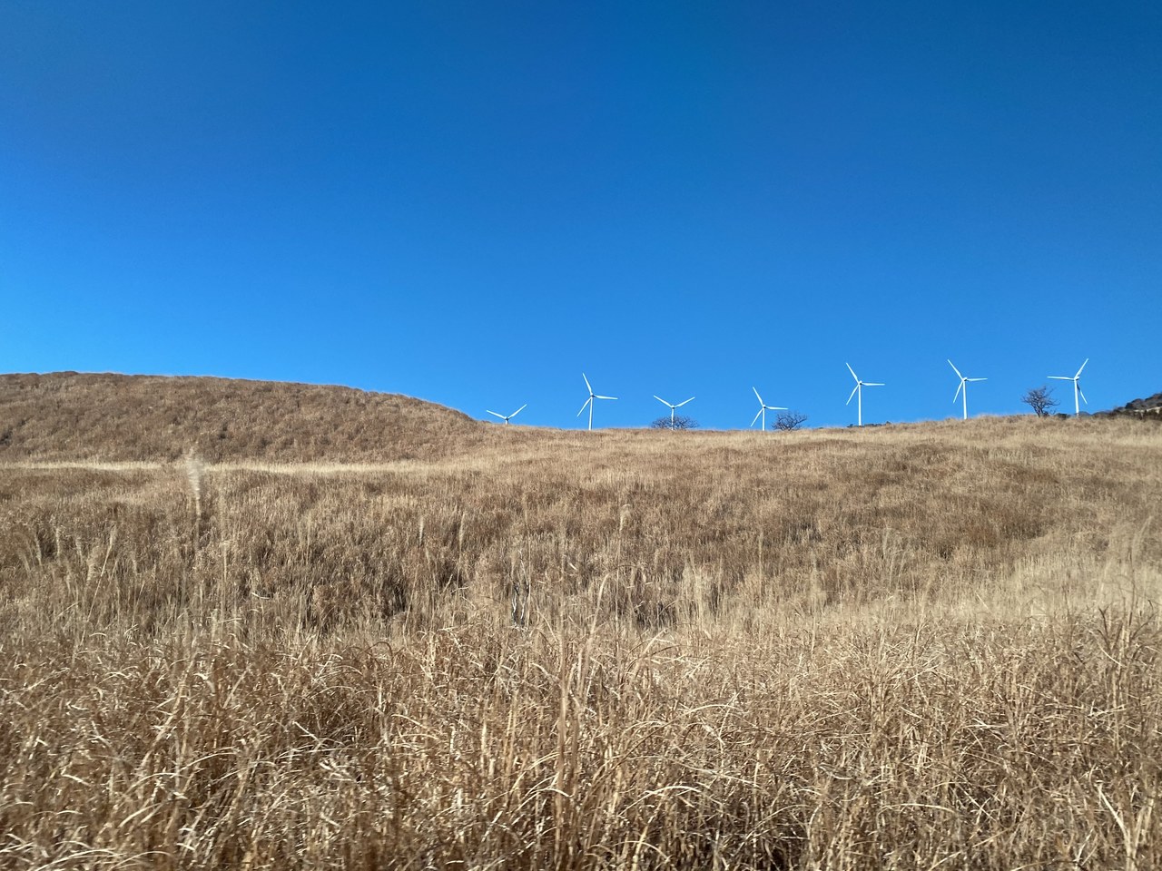 森田 ひかる｜五月雨よ（2022-03-17）