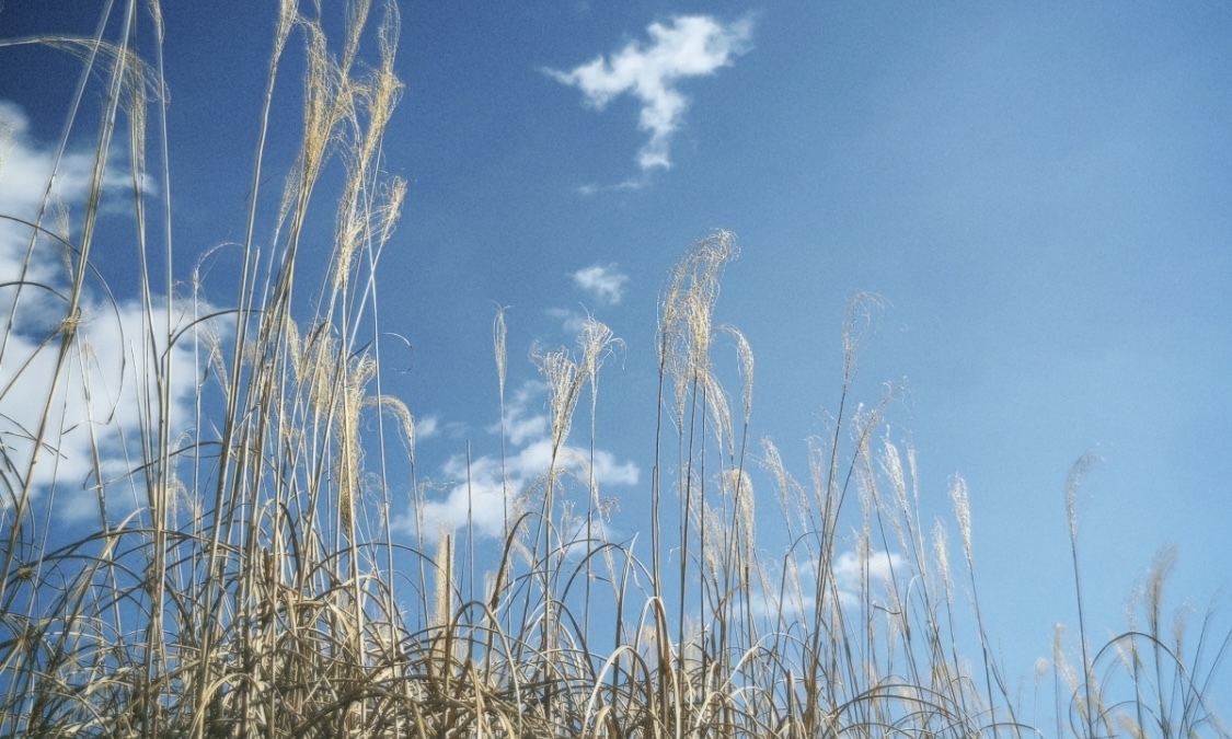 松田 里奈｜「五月雨よ」MV☔️（2022-03-19）