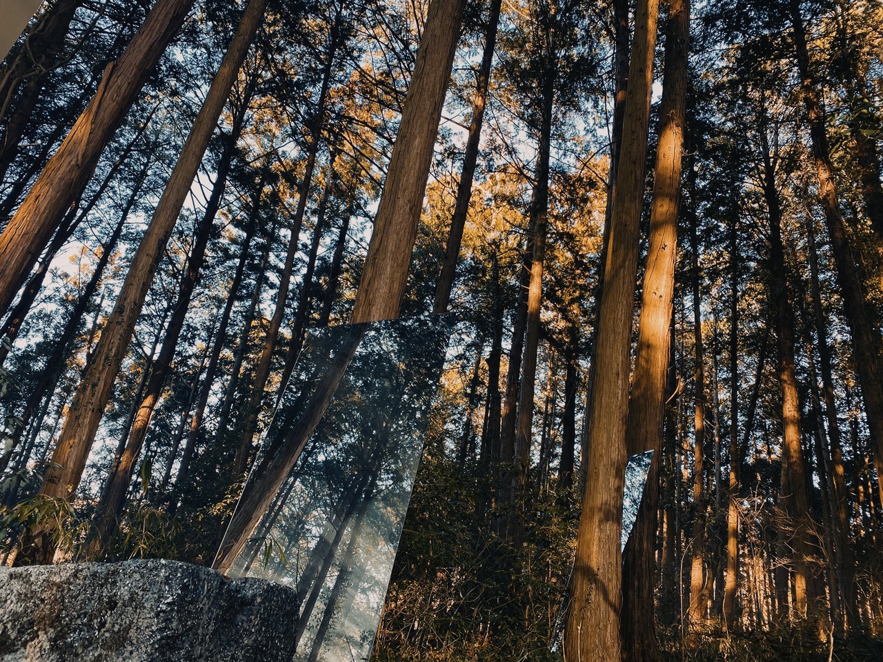 森田 ひかる｜僕のジレンマ（2022-04-01）