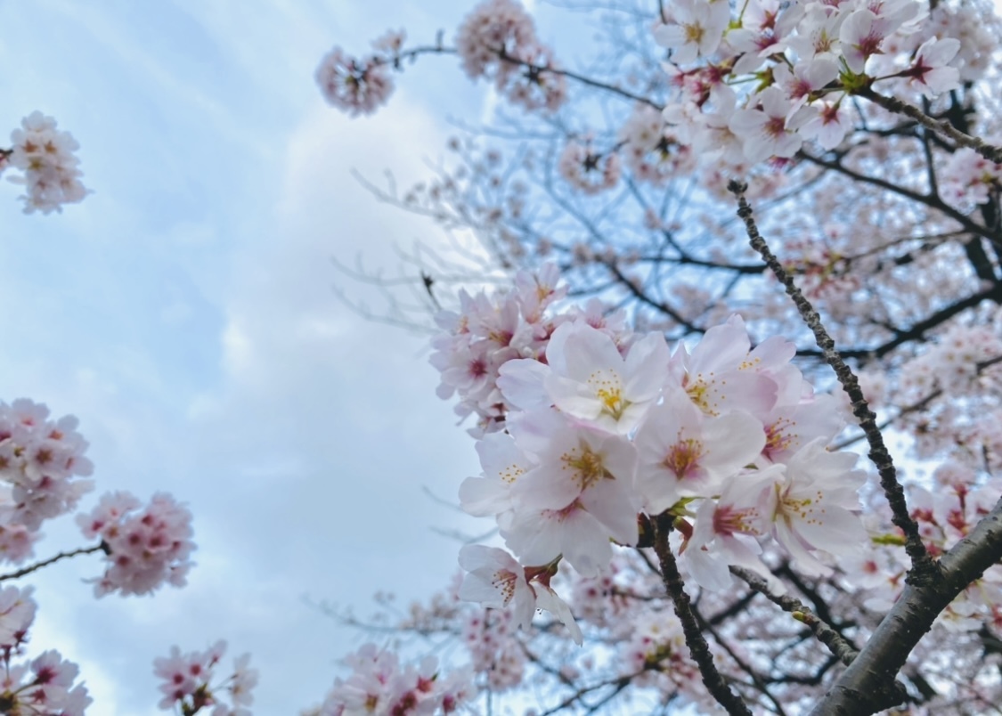 松田 里奈｜秋から春🌸（2022-04-04）｜2枚目