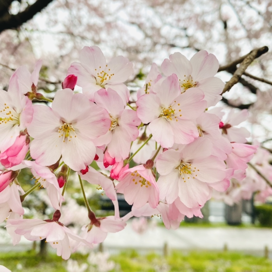 松田 里奈｜秋から春🌸（2022-04-04）｜3枚目