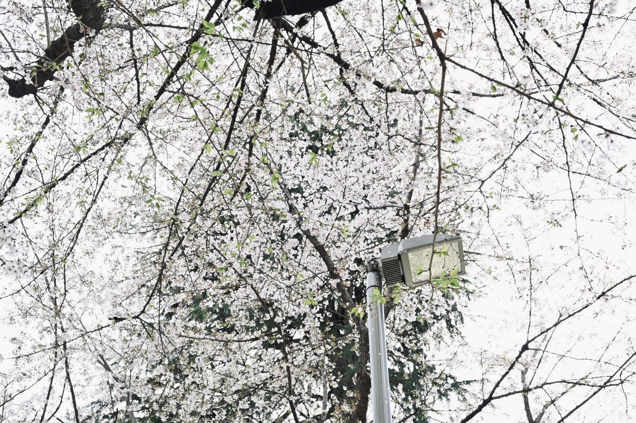 森田 ひかる｜元気だった〜。笑（2022-04-17）