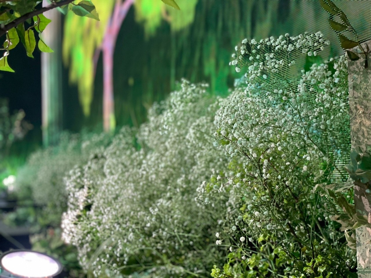 田村 保乃｜青と白（2022-05-25）