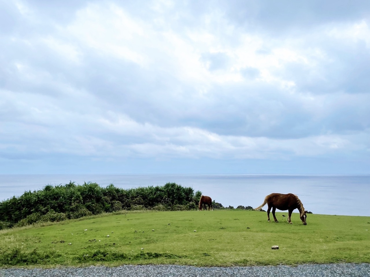 守屋 麗奈｜SHOWROOM 2Days（2022-07-29）