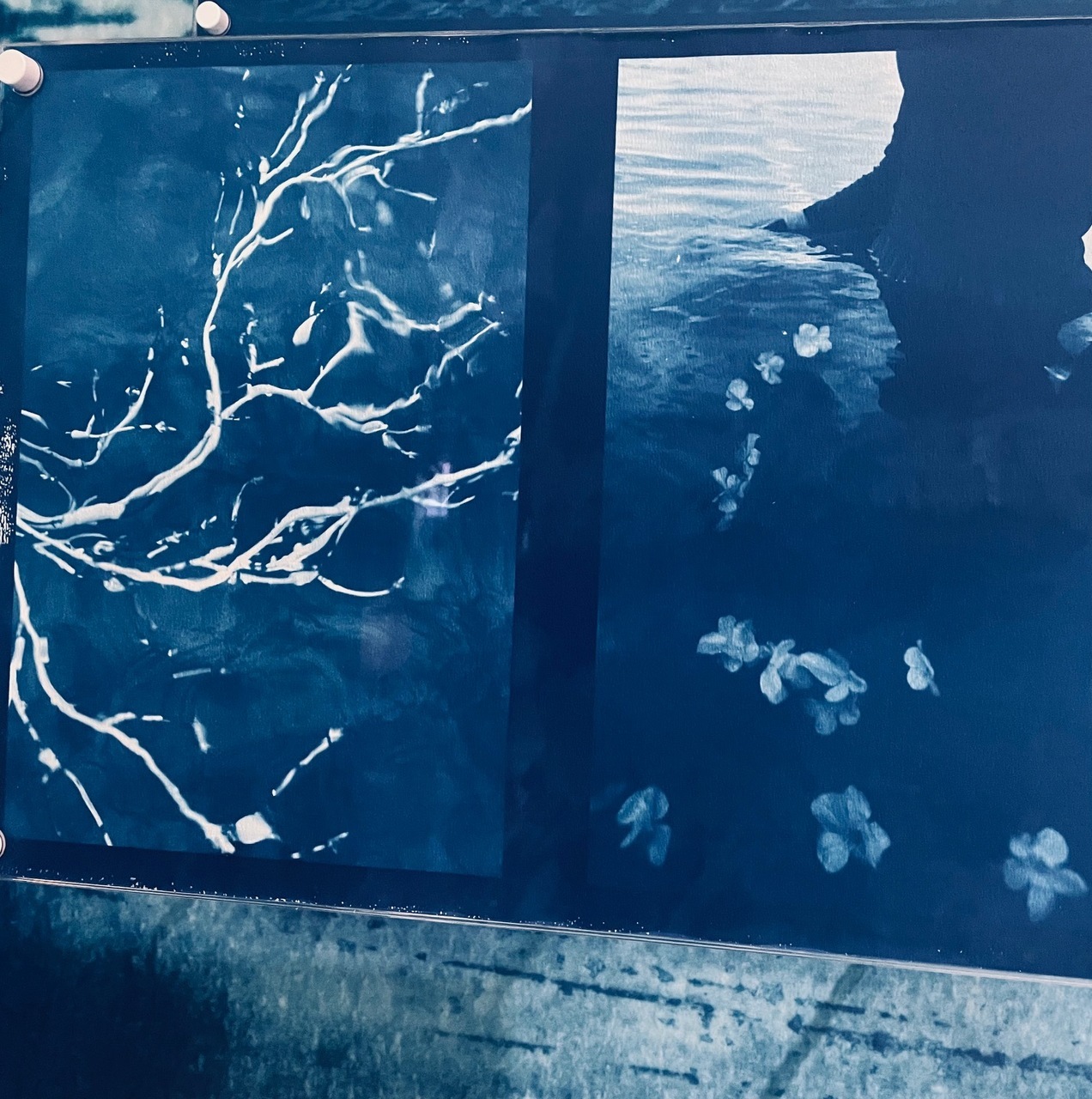 武元 唯衣｜波（2022-08-03）