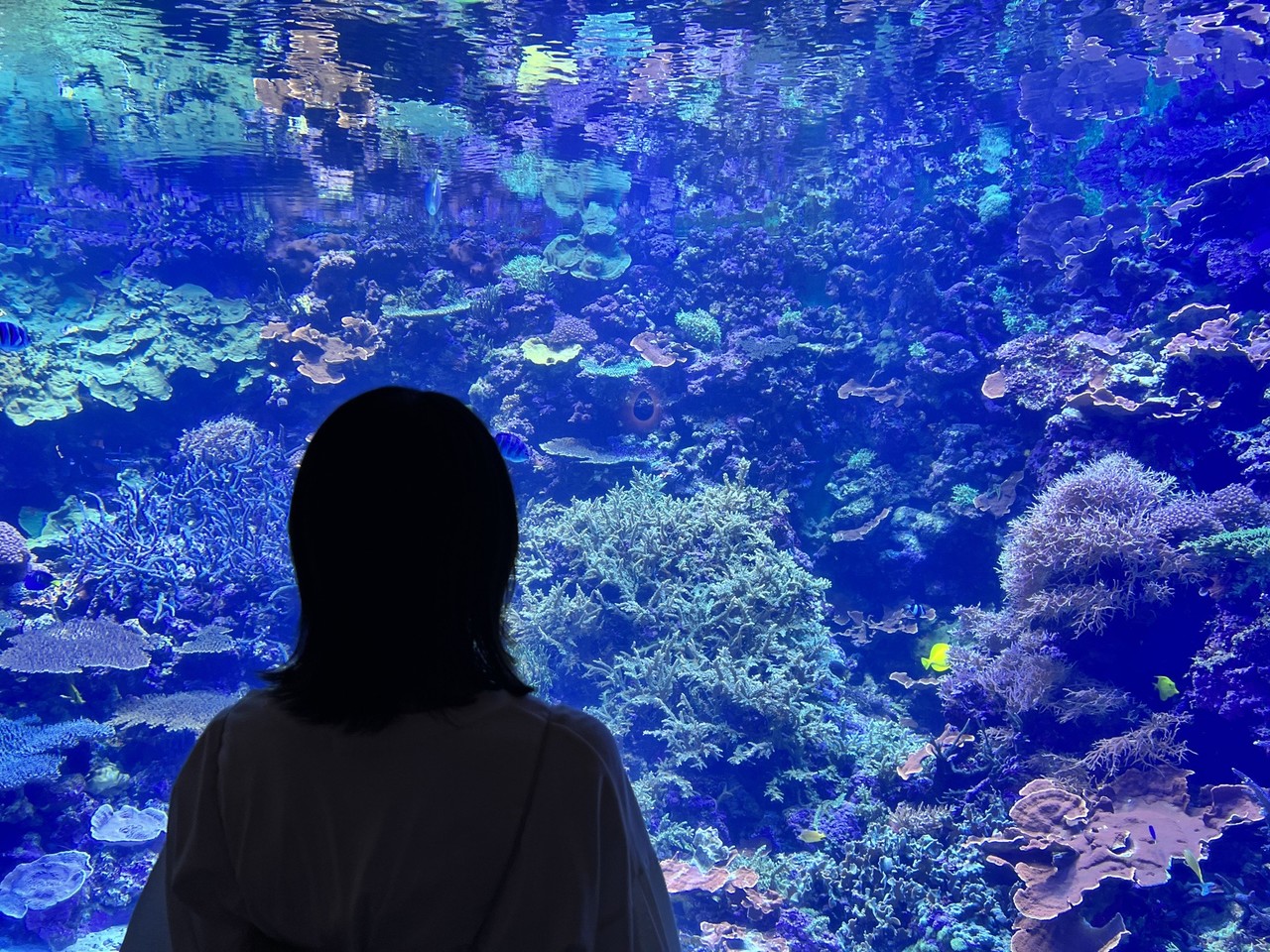 森田 ひかる｜目薬した後に涙目になってるのを見られて、泣いてるって思われたくないからギリギリまで目薬を顔付近で持っときますよね(あるある提供:増本綺良)（2022-08-07）