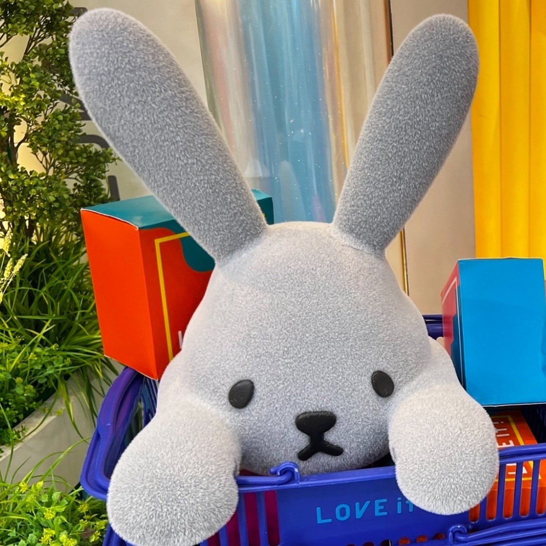 田村 保乃｜スタジオ（2022-08-30）