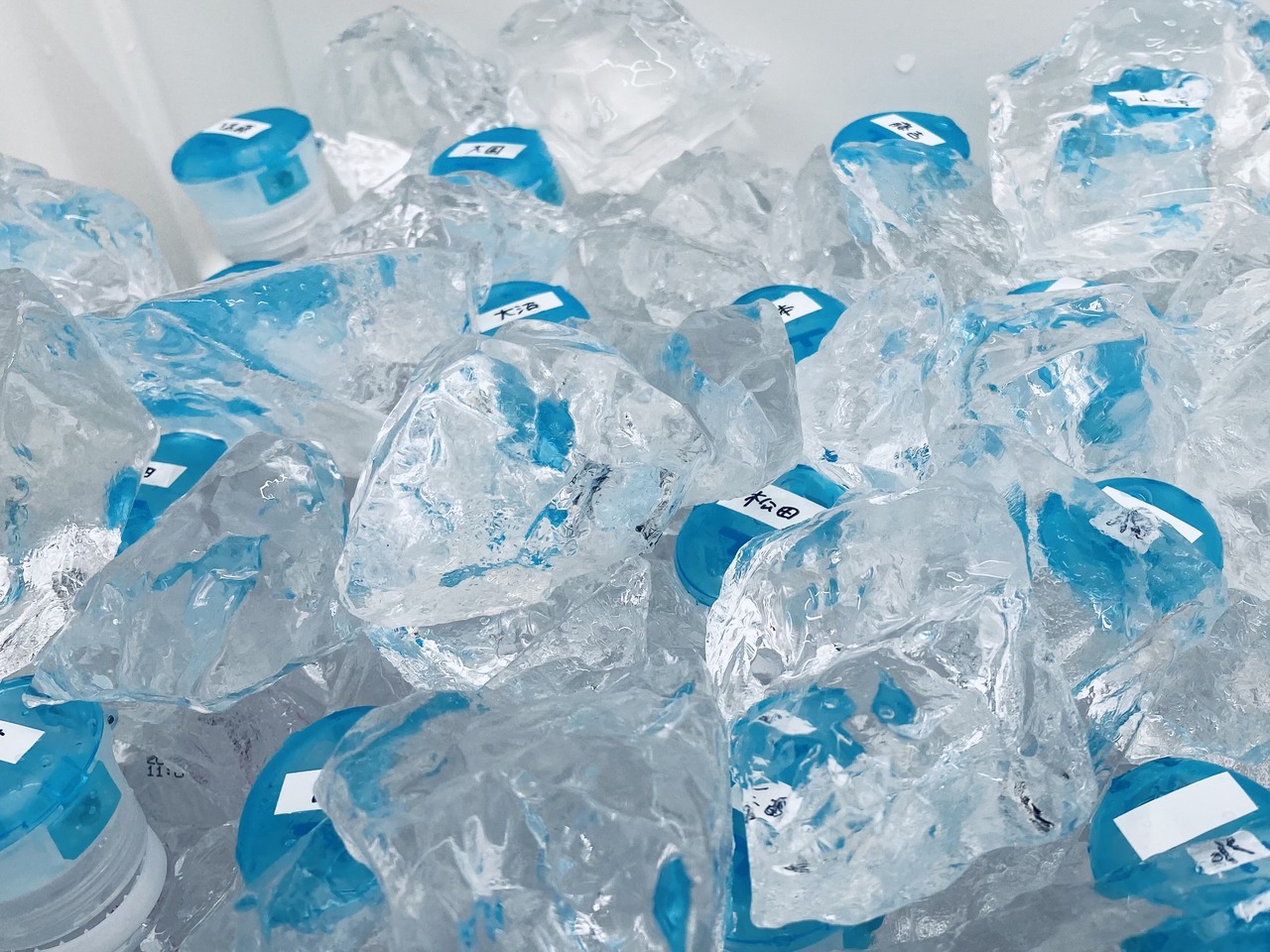 森田 ひかる｜夏（2022-09-02）