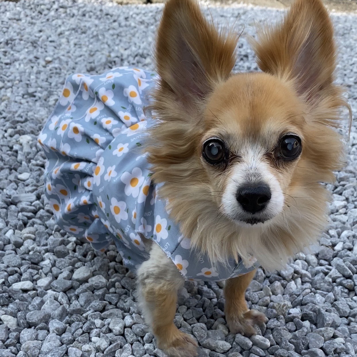 松田 里奈｜メルちゃん大好き！！！（2022-09-03）