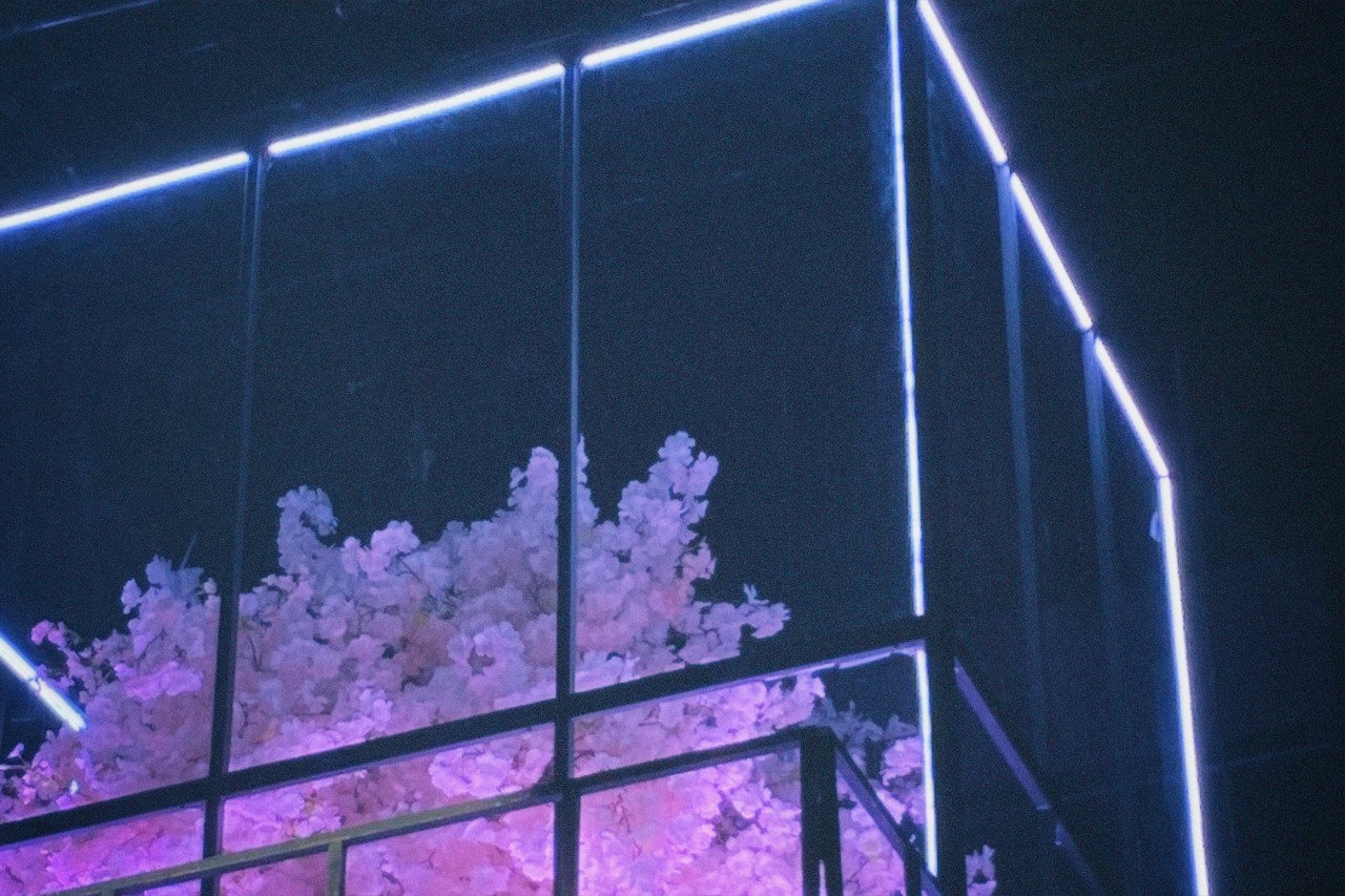 森田 ひかる｜ふくおか！フクオカ！福岡！（2022-11-02）