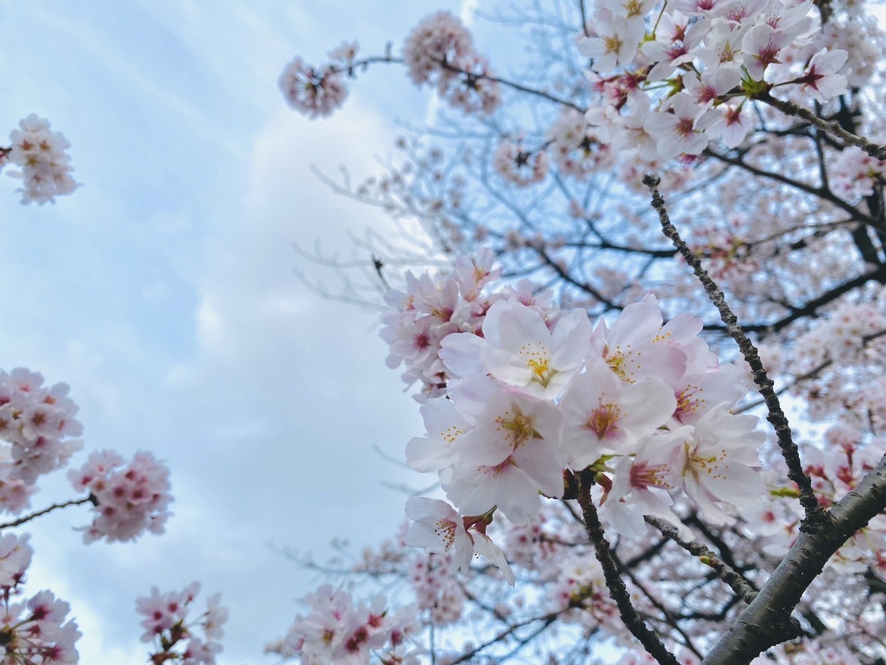 松田 里奈｜飛躍（2022-11-16）