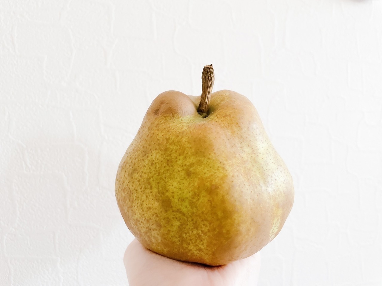 守屋 麗奈｜たっくさん（2022-11-23）