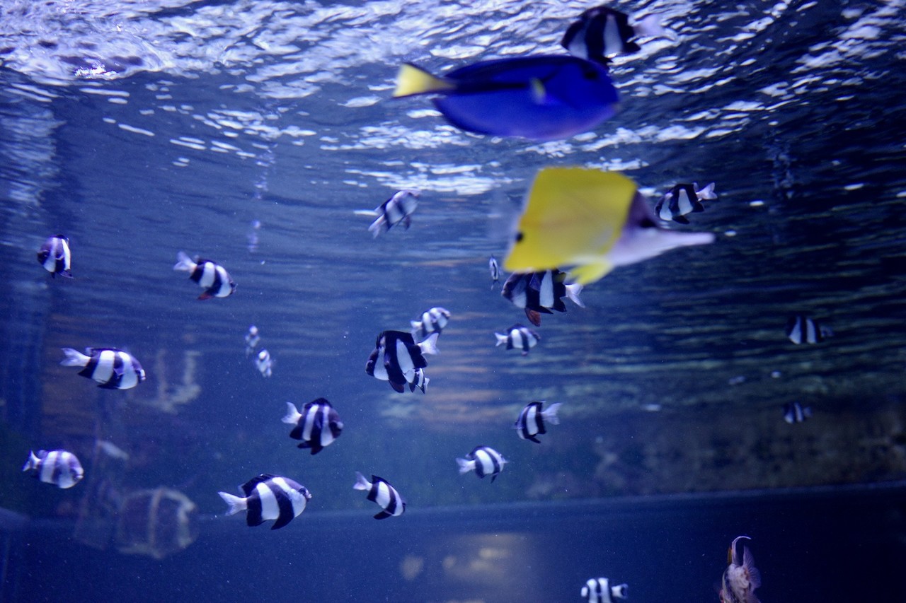 森田 ひかる｜冬（2022-11-30）