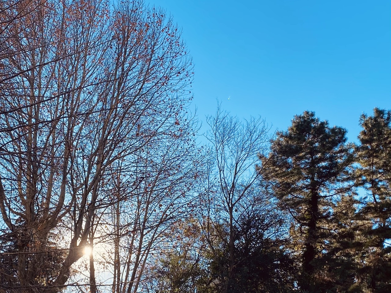 森田 ひかる｜ポトフ（2022-12-27）