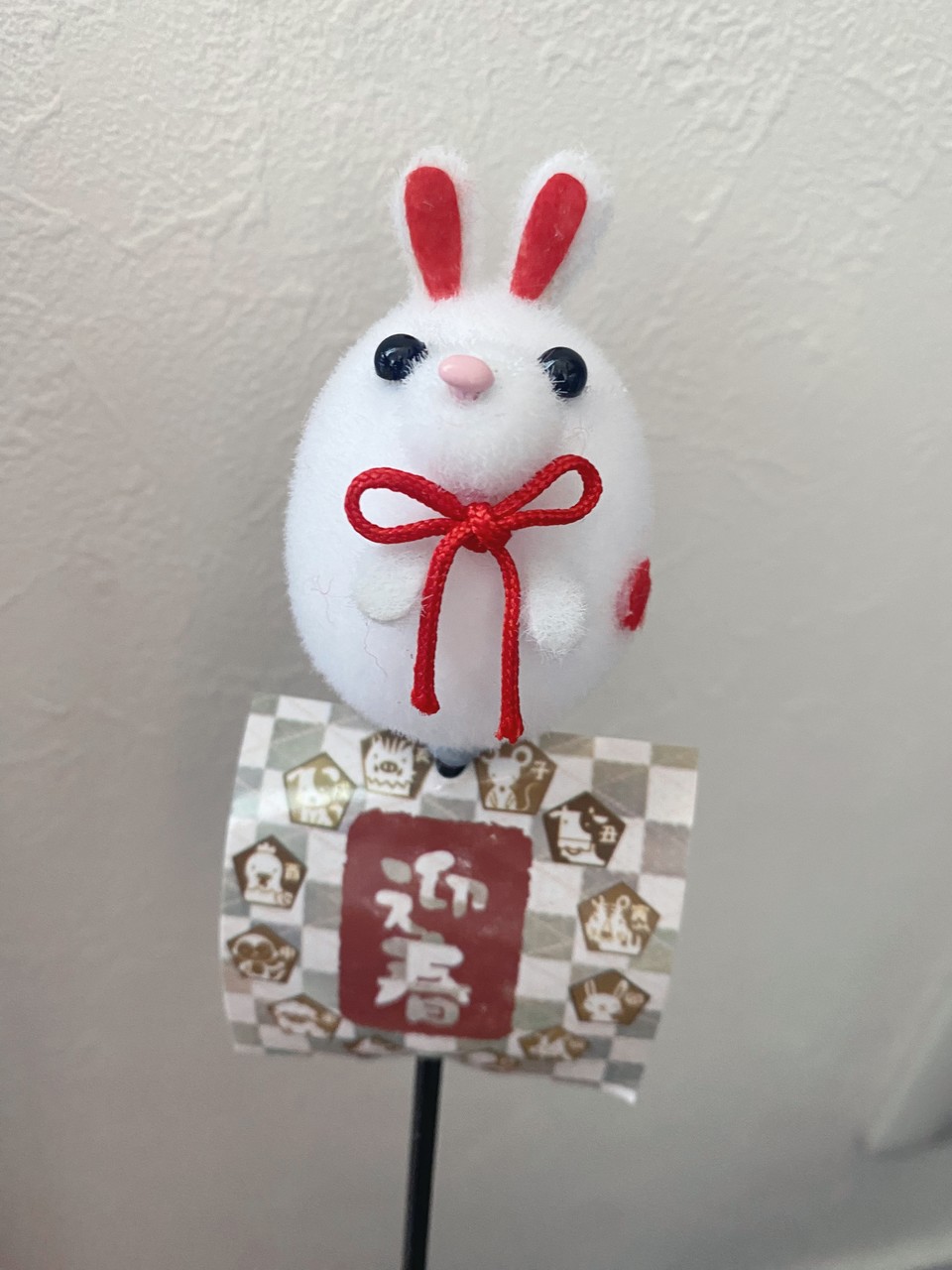 田村 保乃｜ぴょん（2023-01-19）