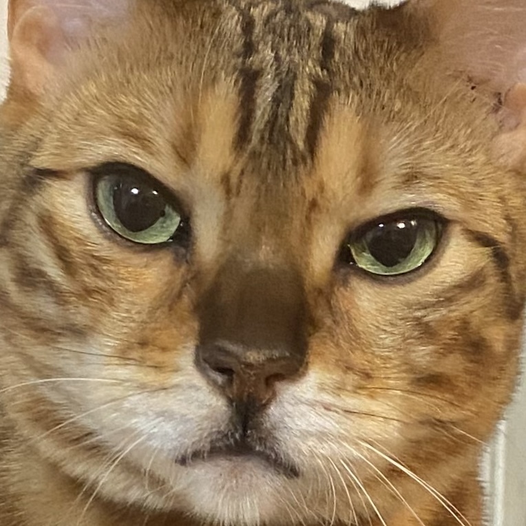 藤吉 夏鈴｜（2023-01-30）