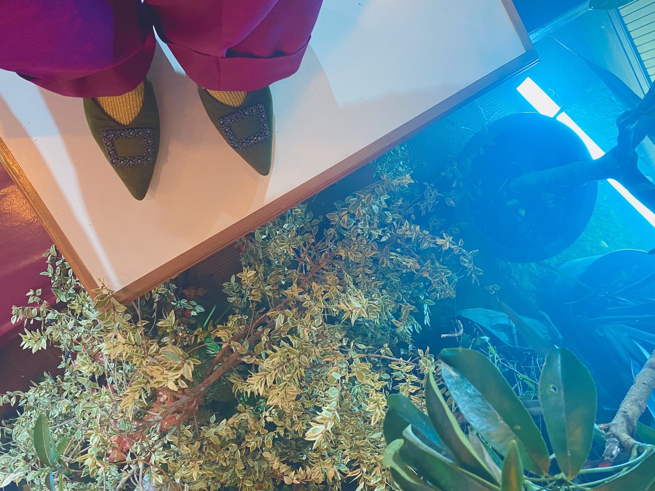 森田 ひかる｜Cool（2023-03-29）