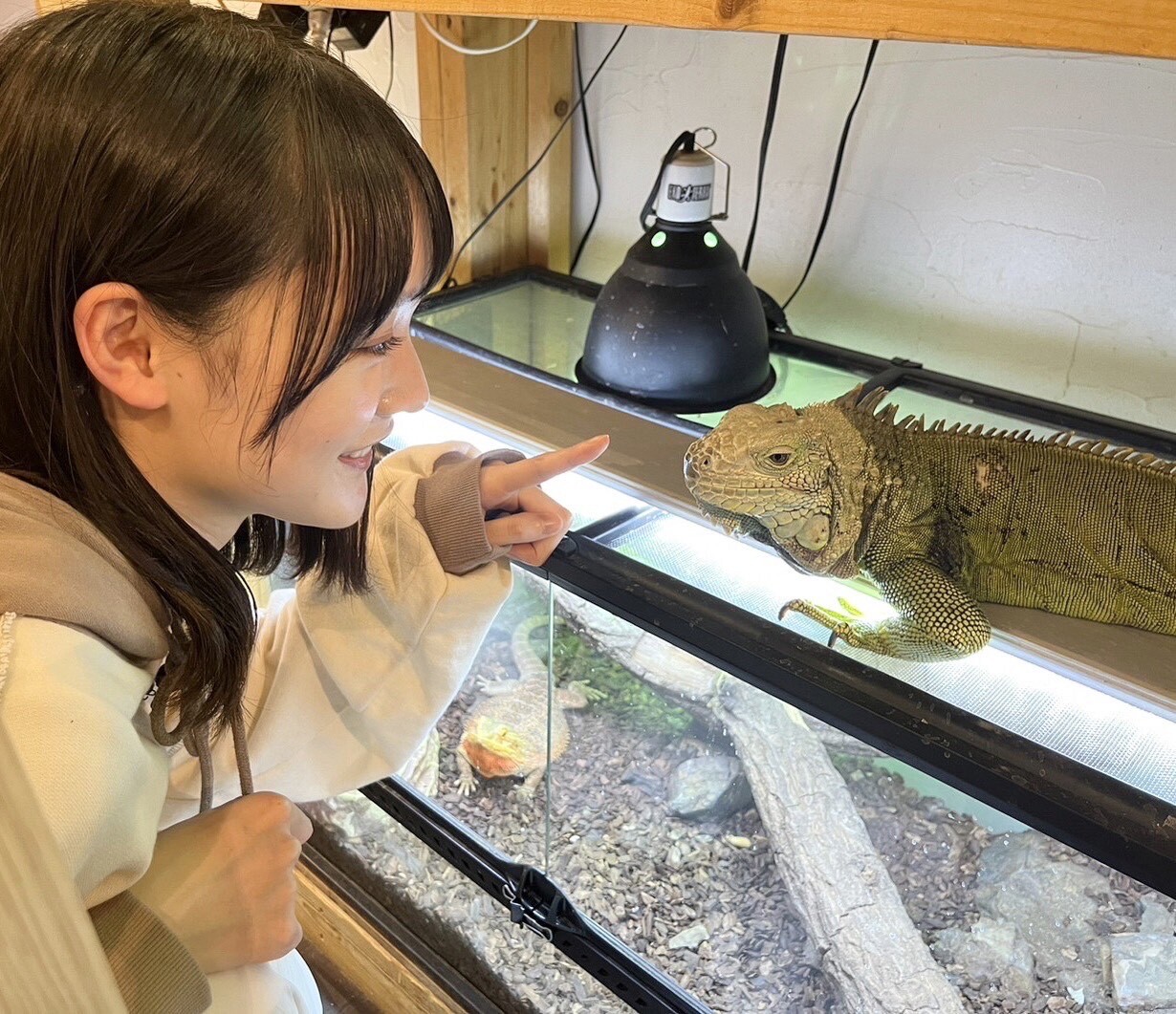 増本 綺良｜🦎YouTube🦎（2023-05-22）