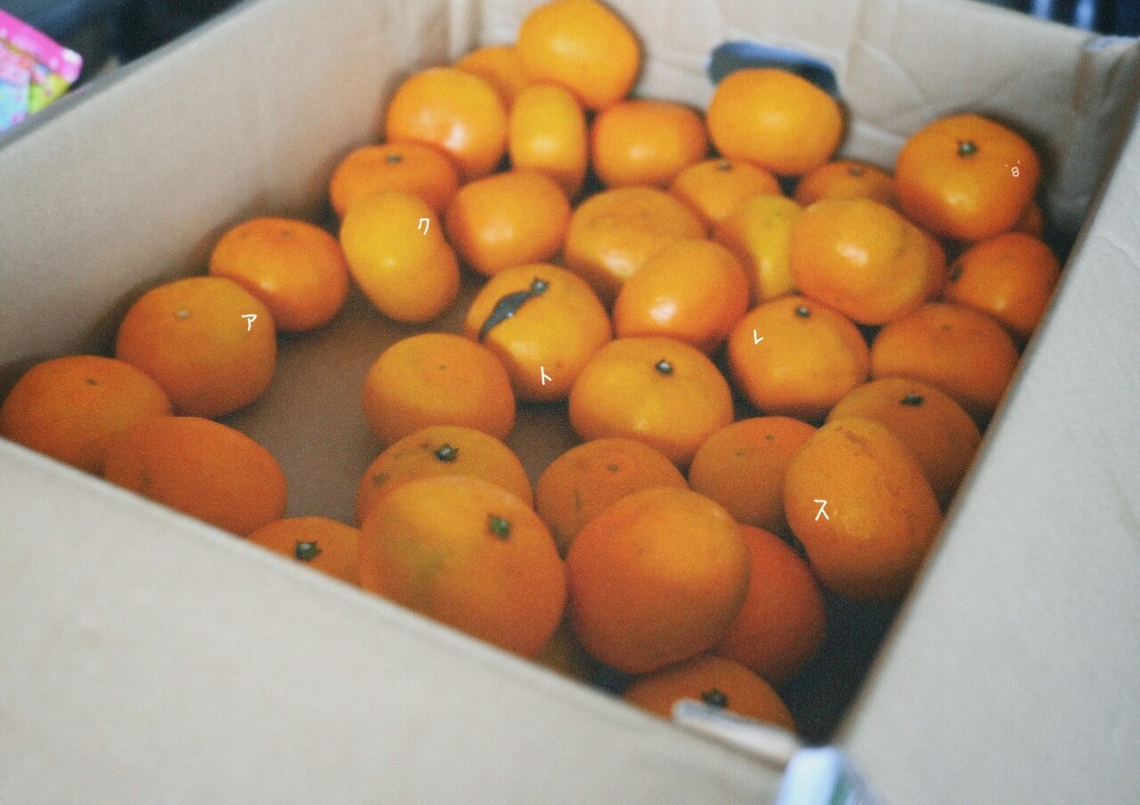 森田 ひかる｜アクトレス（2023-05-23）