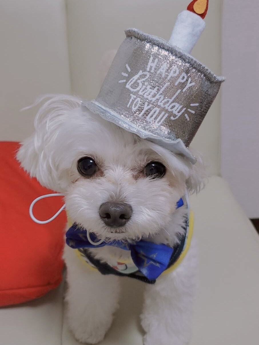 田村 保乃｜5さい（2023-06-09）