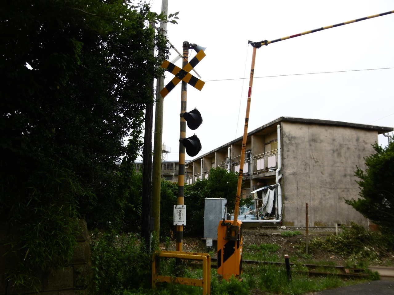 藤吉 夏鈴｜（2023-09-09）｜7枚目