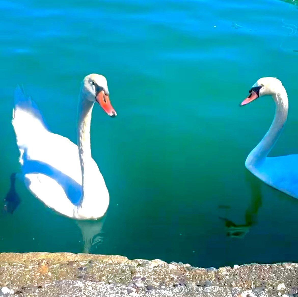 大沼 晶保｜夏の終わり（2023-09-13）