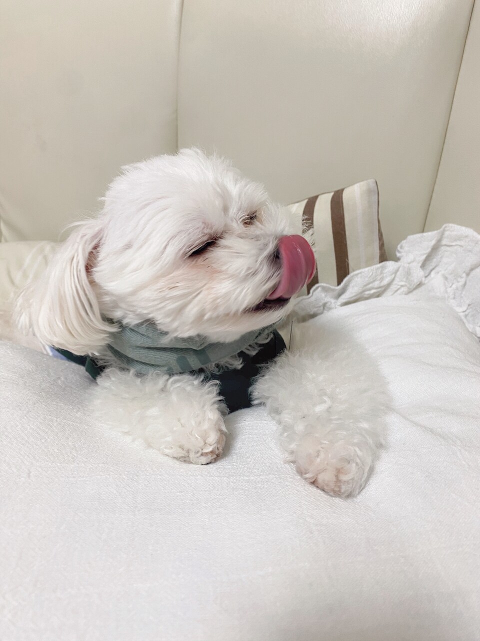 田村 保乃｜ワールド（2023-10-04）