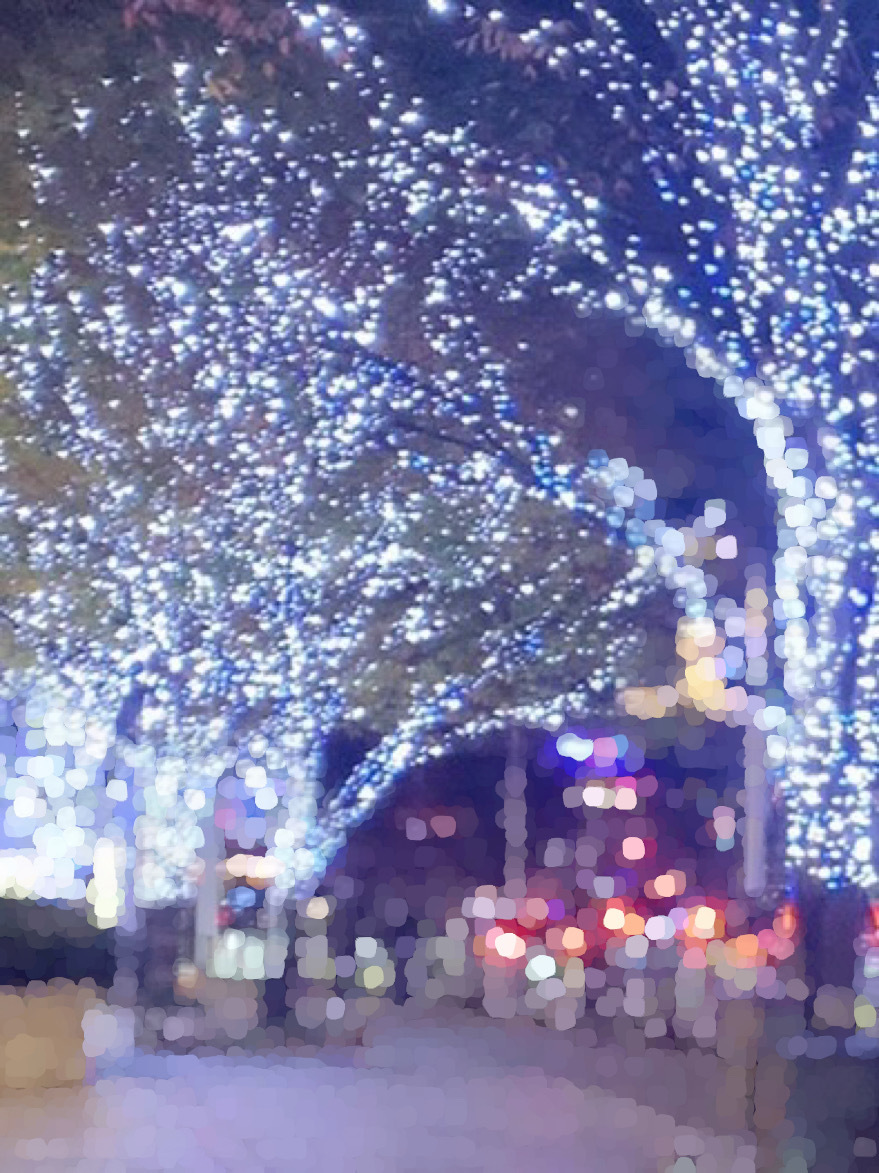 小島 凪紗｜新参者🐈🧶　　　 小島凪紗（2023-11-17）