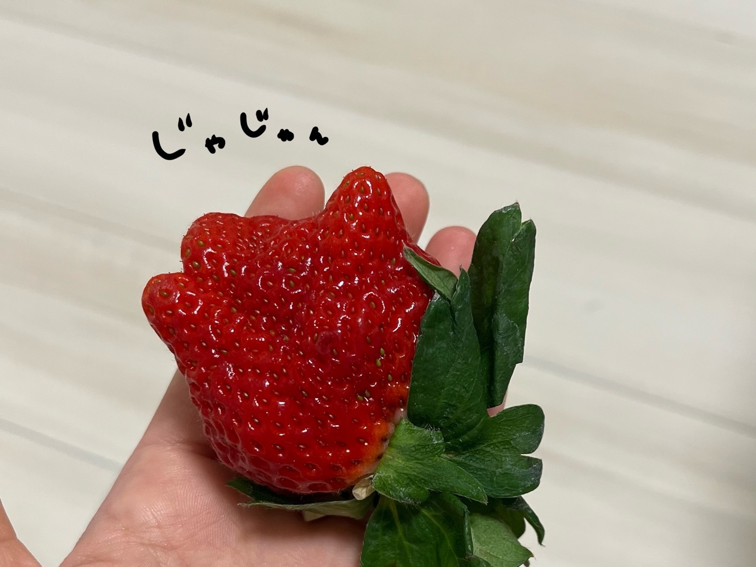 石森 璃花｜空気、46（2023-12-12）｜5枚目