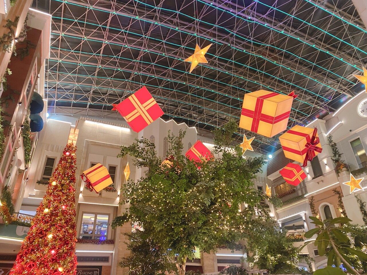 田村 保乃｜AAA（2023-12-15）