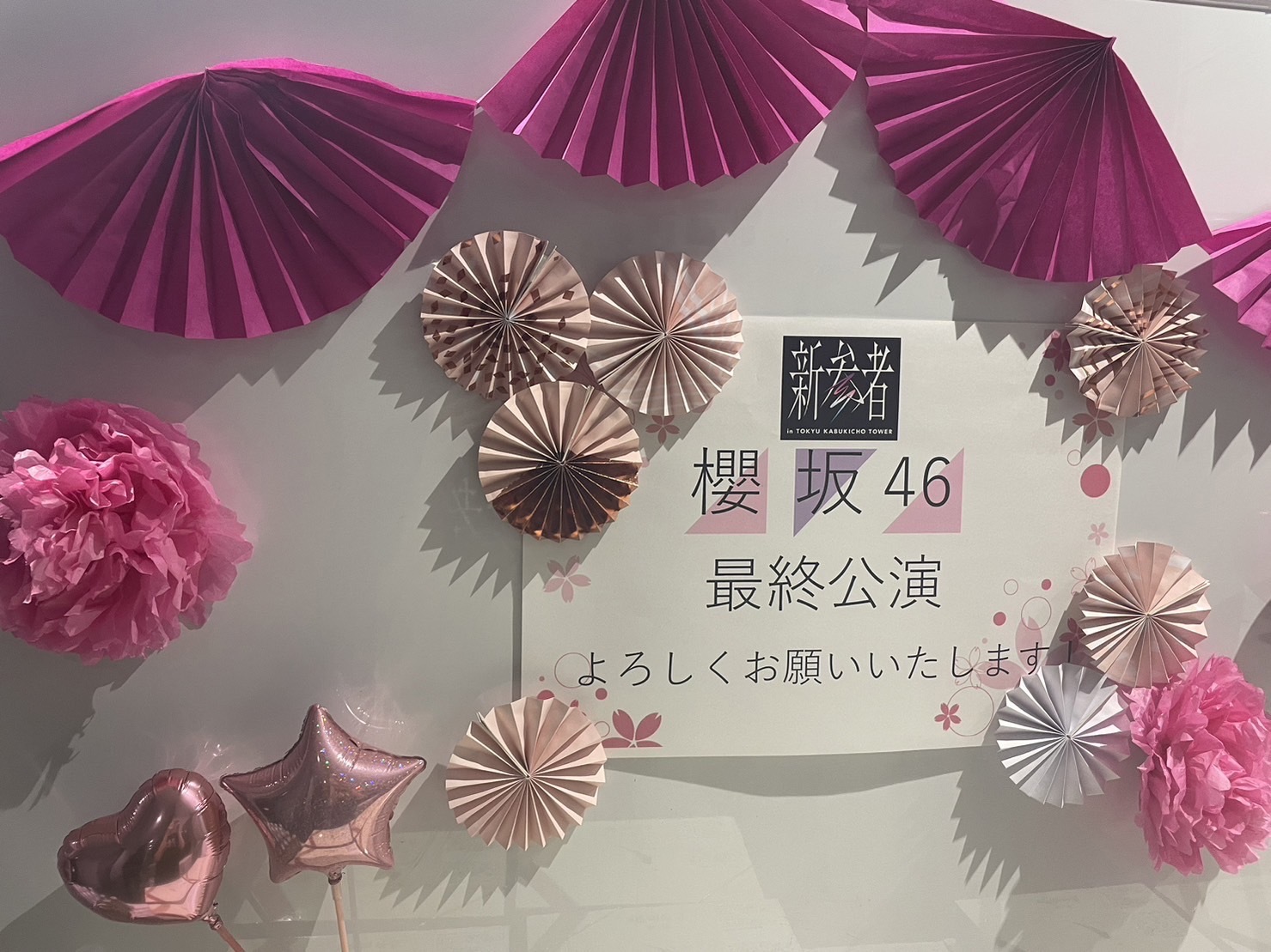 向井 純葉｜新参者（2023-12-24）