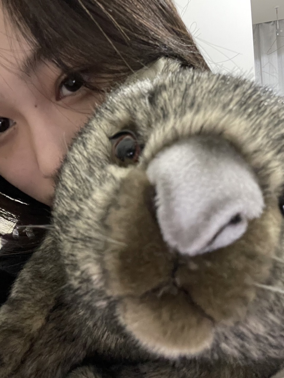 向井 純葉｜^,,._.,,^（2023-12-29）