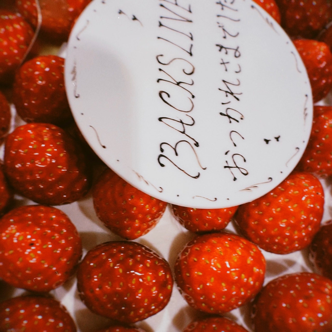 向井 純葉｜いっぱい（2024-01-24）