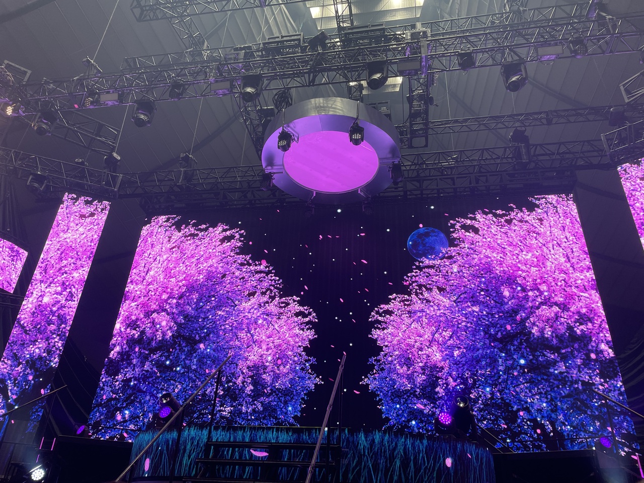 向井 純葉｜❀ 𓂃（2024-02-07）