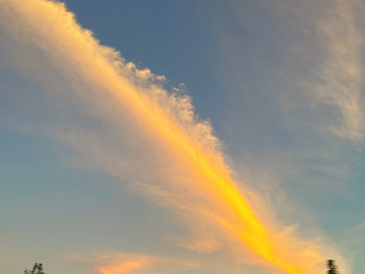 森田 ひかる｜明日食べようと思って買っておいたのにその日に食べちゃう時ありますよね（2024-05-07）