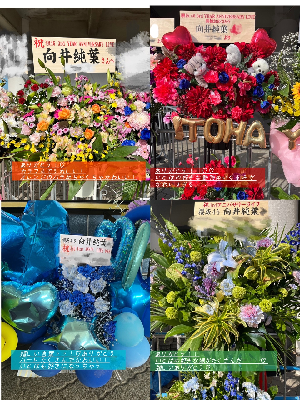 向井 純葉｜お花♡（2024-05-13）